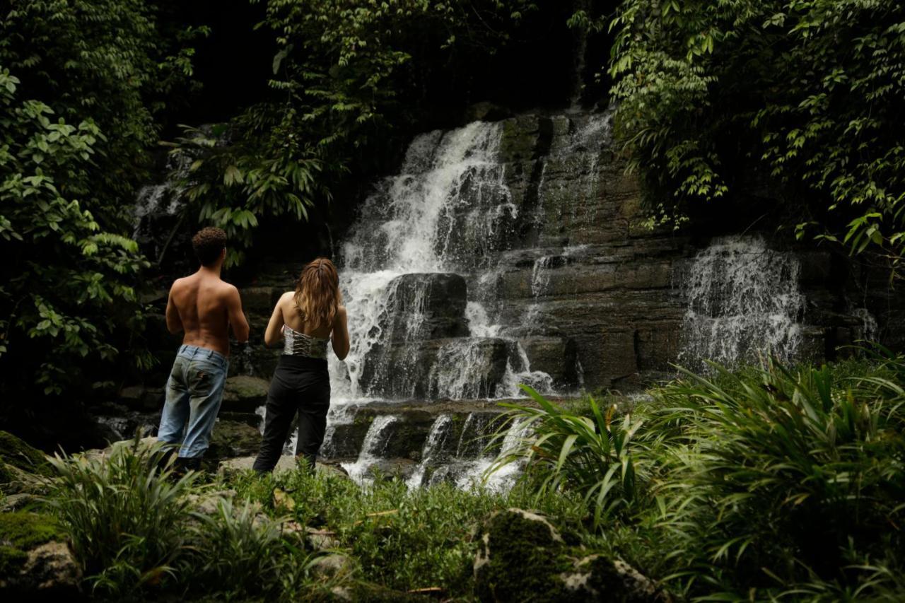 Misahualli Amazon Lodge Dış mekan fotoğraf