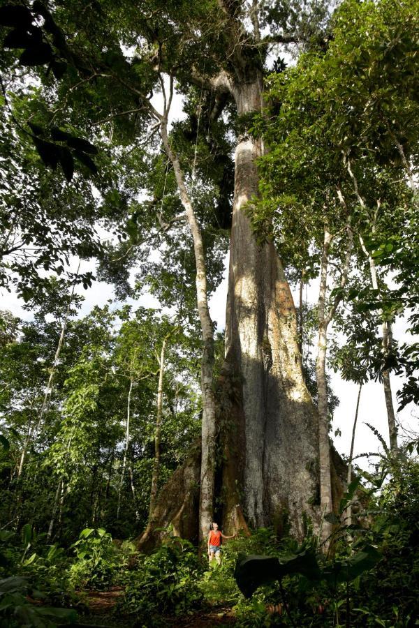 Misahualli Amazon Lodge Dış mekan fotoğraf