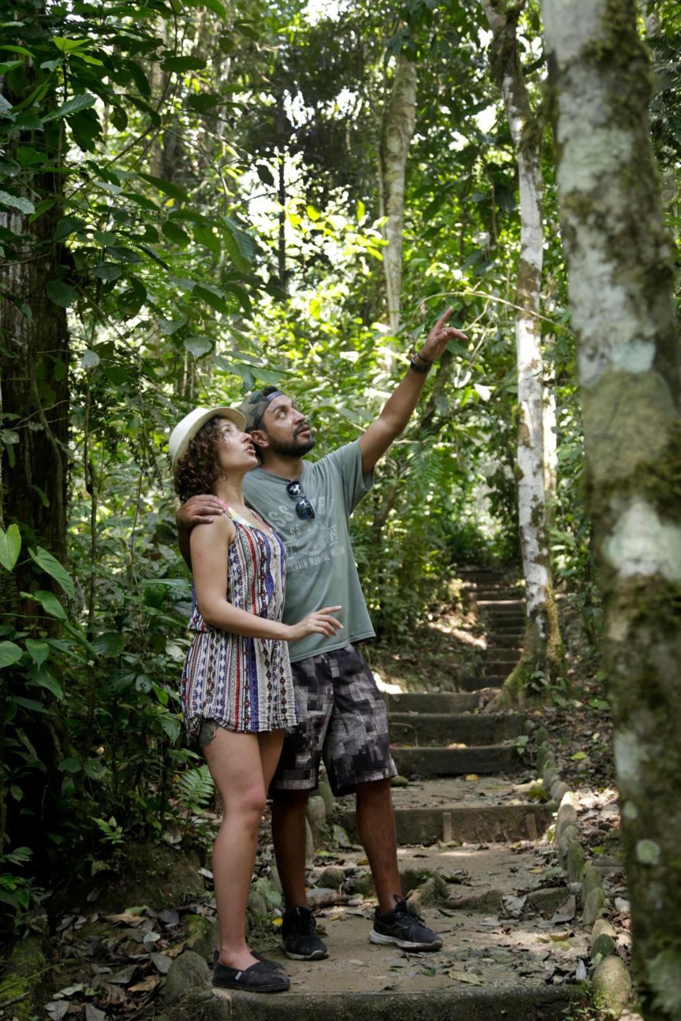 Misahualli Amazon Lodge Dış mekan fotoğraf