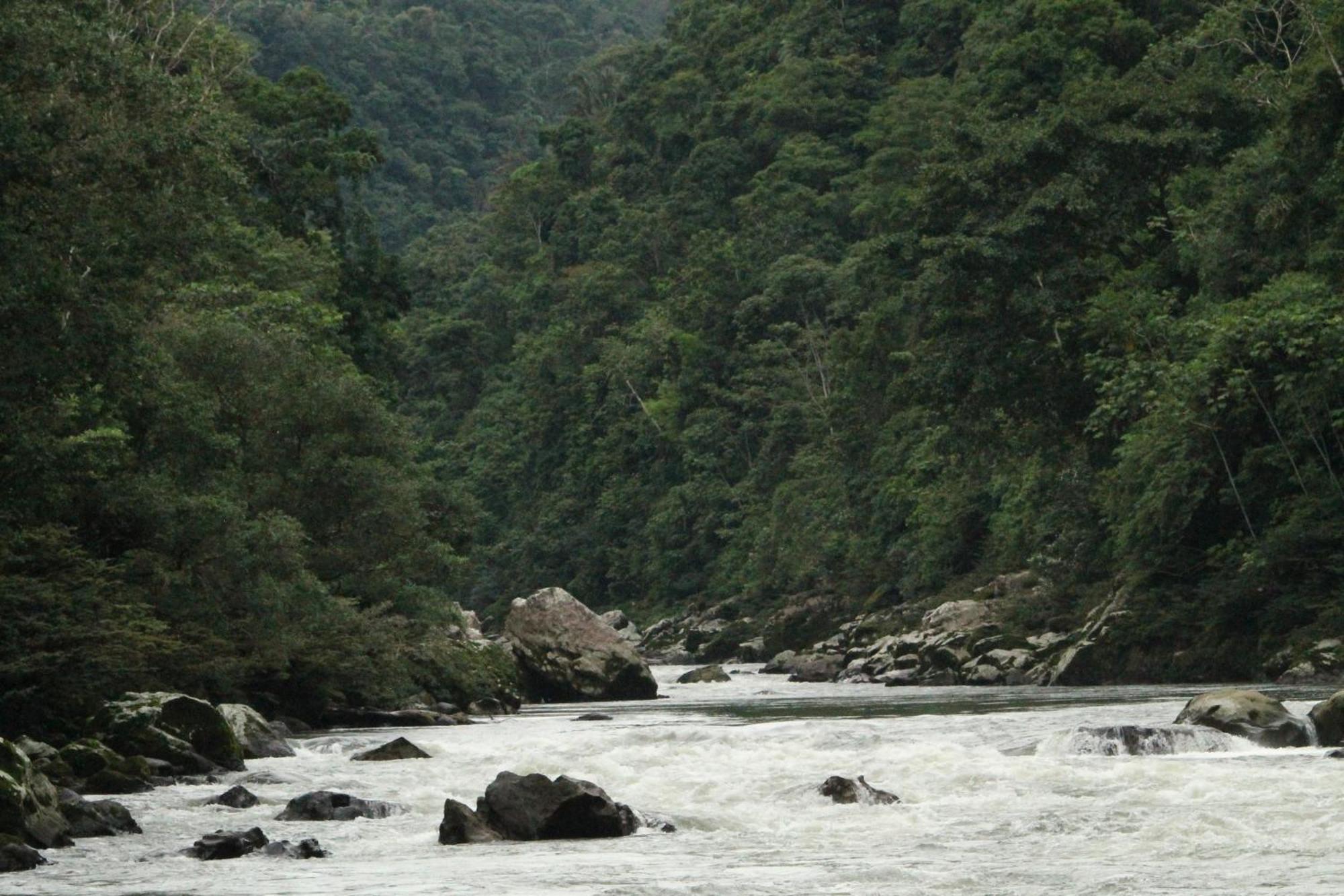 Misahualli Amazon Lodge Dış mekan fotoğraf