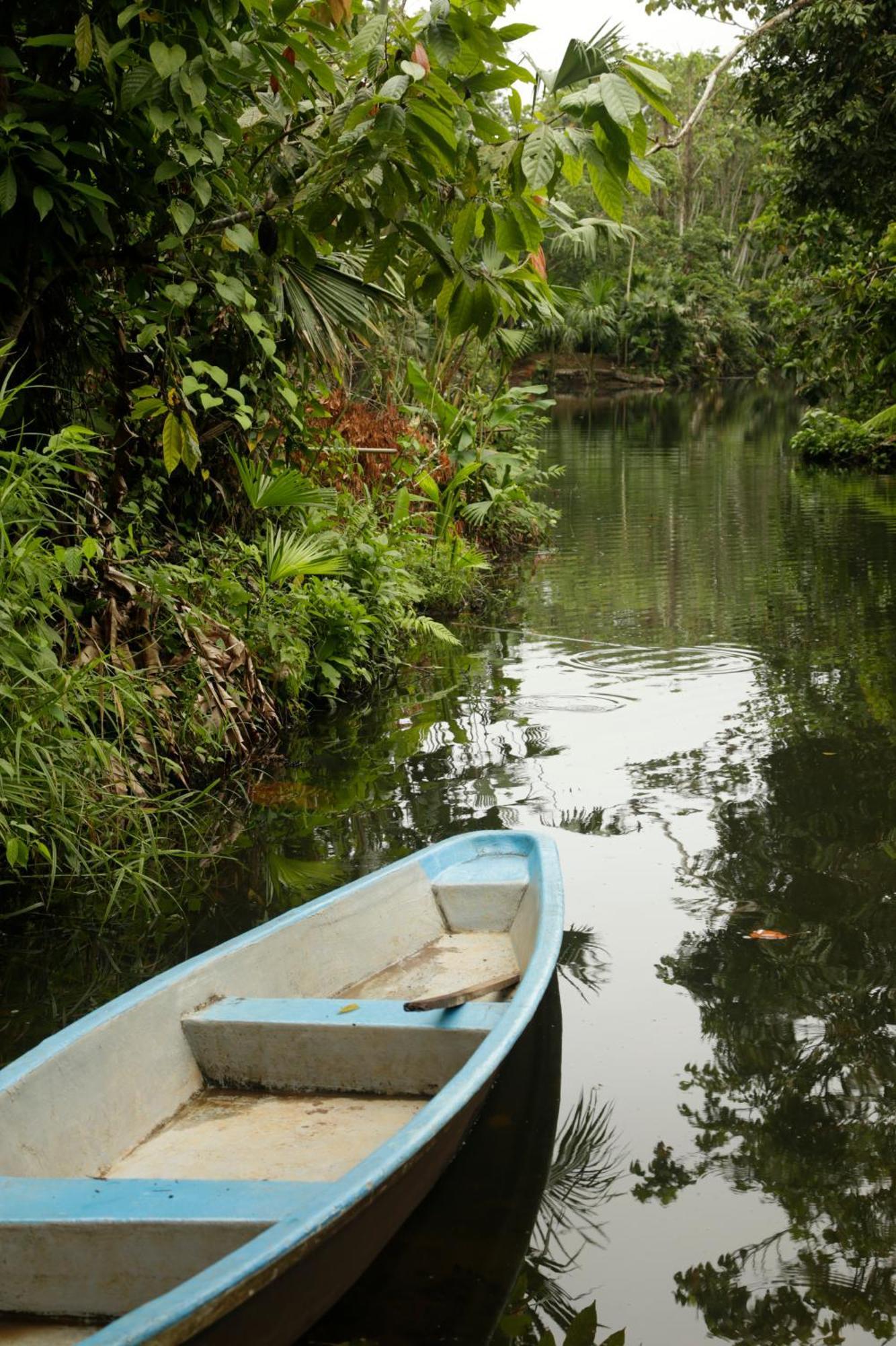 Misahualli Amazon Lodge Dış mekan fotoğraf